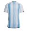 Argentina Home Stadium Replica Jersey World Cup 2022 Short Sleeves