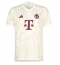 Bayern Munich Harry Kane #9 Third Stadium Replica Jersey 2023-24 Short Sleeves
