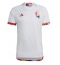 Belgium Away Stadium Replica Jersey World Cup 2022 Short Sleeves