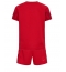 Denmark Home Stadium Replica Jersey Kids World Cup 2022 Short Sleeves (+ pants)