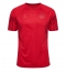 Denmark Home Stadium Replica Jersey World Cup 2022 Short Sleeves