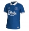 Everton Dwight McNeil #7 Home Stadium Replica Jersey 2023-24 Short Sleeves
