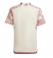 Mexico Away Stadium Replica Jersey World Cup 2022 Short Sleeves