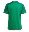 Mexico Home Stadium Replica Jersey World Cup 2022 Short Sleeves