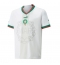 Morocco Away Stadium Replica Jersey World Cup 2022 Short Sleeves