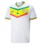 Senegal Home Stadium Replica Jersey World Cup 2022 Short Sleeves