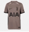Tottenham Hotspur Third Stadium Replica Jersey 2023-24 Short Sleeves