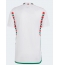 Wales Away Stadium Replica Jersey World Cup 2022 Short Sleeves