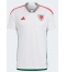 Wales Away Stadium Replica Jersey World Cup 2022 Short Sleeves