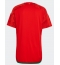 Wales Home Stadium Replica Jersey World Cup 2022 Short Sleeves