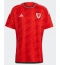 Wales Home Stadium Replica Jersey World Cup 2022 Short Sleeves