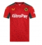 Wolves Away Stadium Replica Jersey 2023-24 Short Sleeves