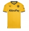 Wolves Home Stadium Replica Jersey 2023-24 Short Sleeves